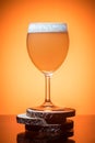 Bottle of beer and glass full foam condensate cold refreshing Royalty Free Stock Photo