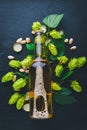 A bottle of beer, hops and grain. Top view. Royalty Free Stock Photo