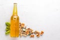 A bottle of beer, hops and grain. Top view. Royalty Free Stock Photo