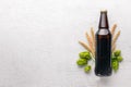 A bottle of beer, hops and grain. Top view. Royalty Free Stock Photo