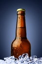 Bottle of beer with ice