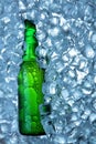 Bottle of beer in ice cubes.Closeup.Green bottle.Hot Summer fresh drink.Copy space Royalty Free Stock Photo