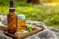 bottle of beer and beer mug on a tray accompanied by snacks, picnic Royalty Free Stock Photo