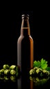 A bottle of beer next to a bunch of hops Royalty Free Stock Photo