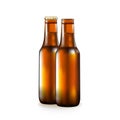 Bottle with beer, popular alcoholic drink, dark glass of a container,