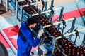 Bottle Beer Production with worker Royalty Free Stock Photo