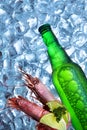 Bottle of beer with royal shrimp ice cubes.Closeup.Green bottle.Hot Summer fresh drink.Copy space Royalty Free Stock Photo