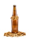 Bottle of beer and salty snacks on white Royalty Free Stock Photo