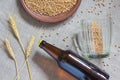 Bottle of beer, wheat, empty mug on sackcloth Royalty Free Stock Photo