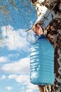 a bottle of birch sap hanging on a tree in early spring while collecting nectar against a blue sky Royalty Free Stock Photo