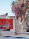 Tree by a Sadaam era building on a camp in Baghdad, Iraq