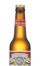 BOTTLE OF BUDWEISER BEER COVERED WITH WATER DROPLETS