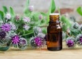 Bottle of burdock extract (oil, tincture, infusion)