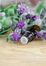 Bottle of burdock extract (oil, tincture, infusion)