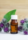 Bottle of burdock extract (oil, tincture, infusion)