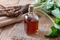 A bottle of burdock tincture with burdock roots Royalty Free Stock Photo