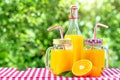 Bottle and cans of mason with orange juice on green natural background Royalty Free Stock Photo