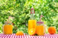 Bottle and cans of orange juice with oranges on checkered tablecloth Royalty Free Stock Photo