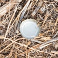 Bottle cap in nature - Pollution Royalty Free Stock Photo