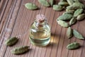 A bottle of cardamon essential oil with cardamon seeds Royalty Free Stock Photo