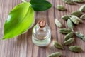 A bottle of cardamon essential oil with cardamon seeds and leaves Royalty Free Stock Photo