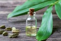 A bottle of cardamon essential oil with fresh cardamon plant and whole seeds Royalty Free Stock Photo