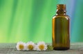 Bottle of chamomille essential oil - beauty Royalty Free Stock Photo