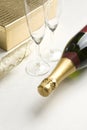 Bottle of champagne Royalty Free Stock Photo