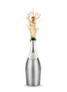 Bottle of champagne Royalty Free Stock Photo