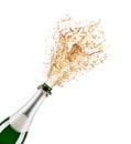 Bottle of champagne Royalty Free Stock Photo