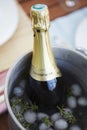 Bottle of Champagne in an ice bucket Royalty Free Stock Photo