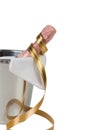 A bottle of champagne in an ice bucket Royalty Free Stock Photo