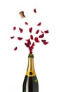 Bottle of champagne popping red rose petals with cork into the a Royalty Free Stock Photo