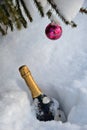 Bottle of champagne in snow and crimson ball on snow-covered branch of christmas tree