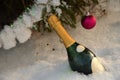 Bottle of champagne in snow and crimson ball on snow-covered branch of christmas tree