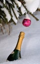 Bottle of champagne in snow and crimson ball on snow-covered branch of christmas tree Royalty Free Stock Photo