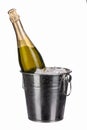 a bottle of chilled sparkling champagne with water drops in an ice bucket on a white isolated background Royalty Free Stock Photo