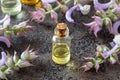 A bottle of clary sage essential oil and fresh plant