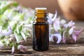 A bottle of clary sage essential oil with fresh plant Royalty Free Stock Photo