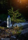 Bottle of clear icy water from mountain stream near a small coniferous tree in the sun rays, blurred background. Image for Royalty Free Stock Photo