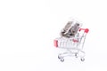 Bottle of coins on shopping cart isolate on white background