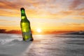 Bottle of cold beer Royalty Free Stock Photo