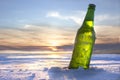 Bottle of Cold Beer Royalty Free Stock Photo