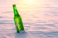 Bottle of cold beer on the snow at sunset Royalty Free Stock Photo