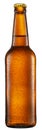 Bottle of cold light beer isolated on a white background. File contains clipping path Royalty Free Stock Photo