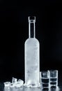 Bottle of cold vodka on dark background Royalty Free Stock Photo