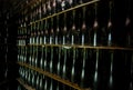 Bottle collection wine