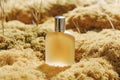 A bottle of cologne is sitting on a patch of grass Royalty Free Stock Photo