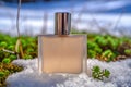 A bottle of cologne is sitting on a snowy ground Royalty Free Stock Photo