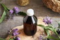 A bottle of homemade comfrey tincture on a table Royalty Free Stock Photo